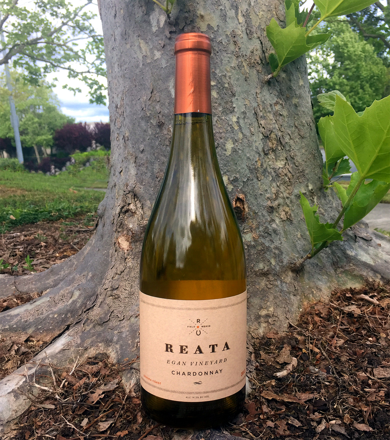 Reata 2012 Chardonnay Egan Vineyard Sonoma Coast 750ml Wine Bottle