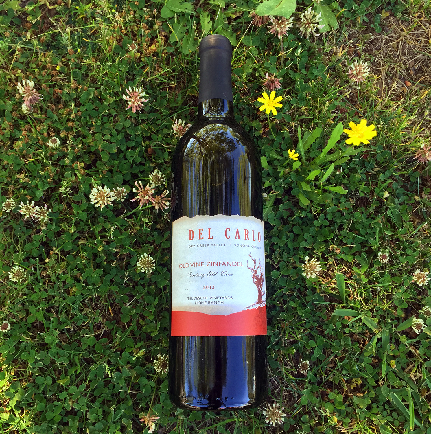 Del Carlo Winery 2012 Old Vine Zinfandel 750ml Wine Bottle