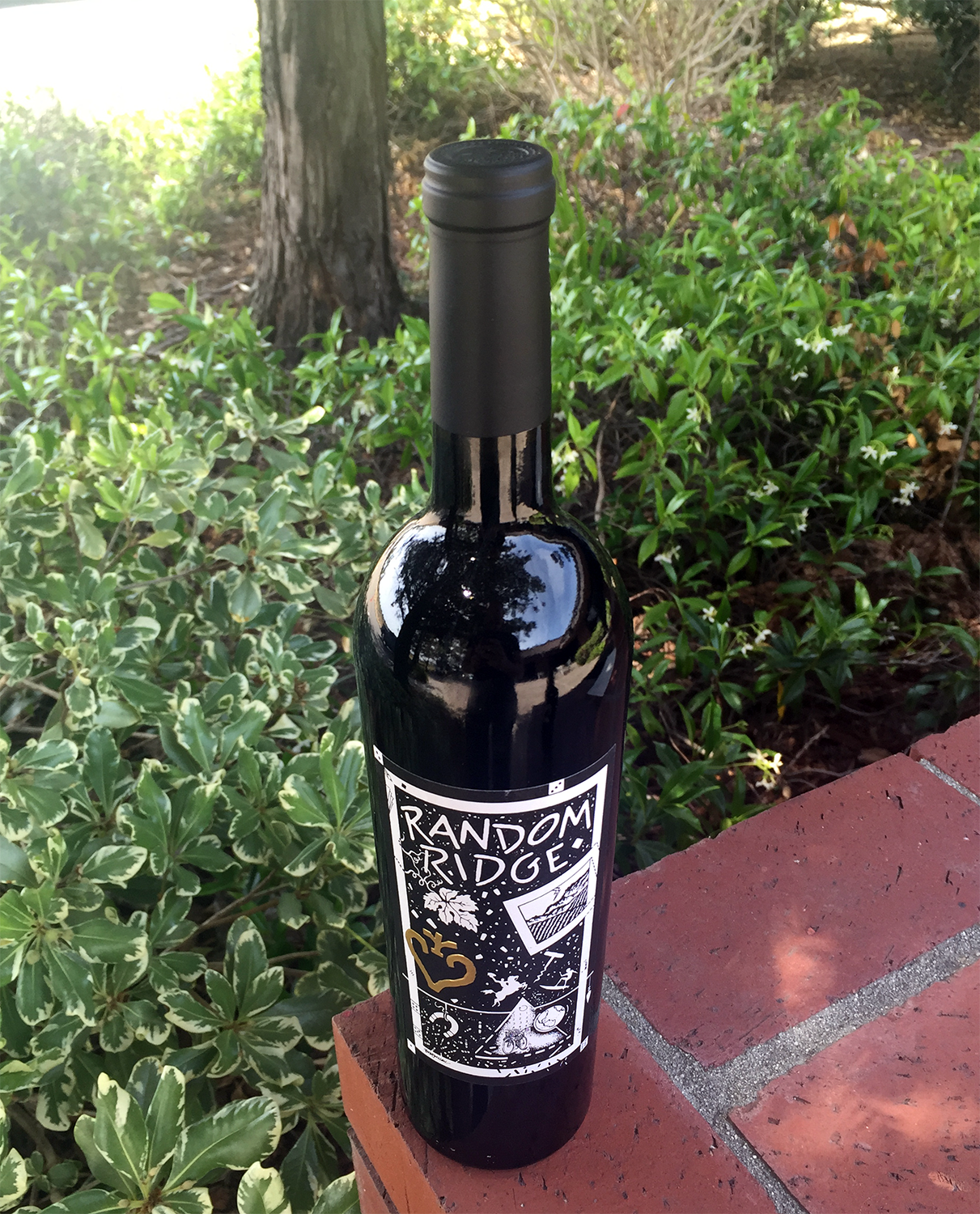 Random Ridge 2011 Cabernets 750ml Wine Bottle