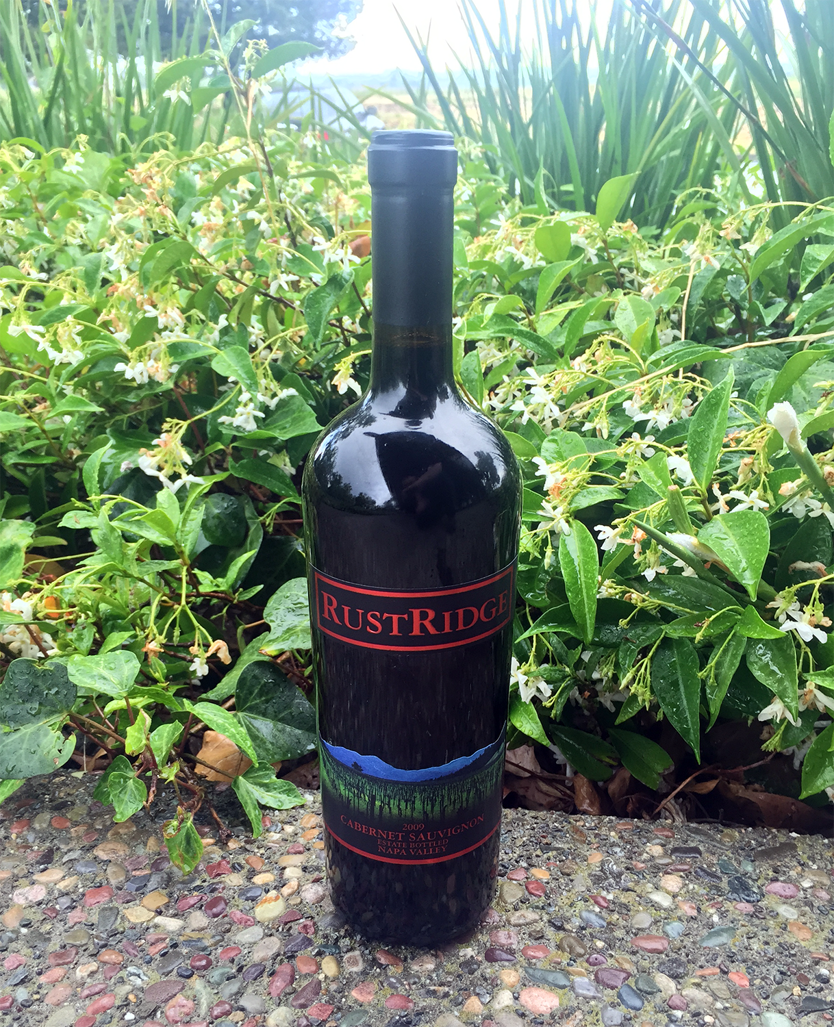 RustRidge Winery 2009 Cabernet Sauvignon 750ml Wine Bottle