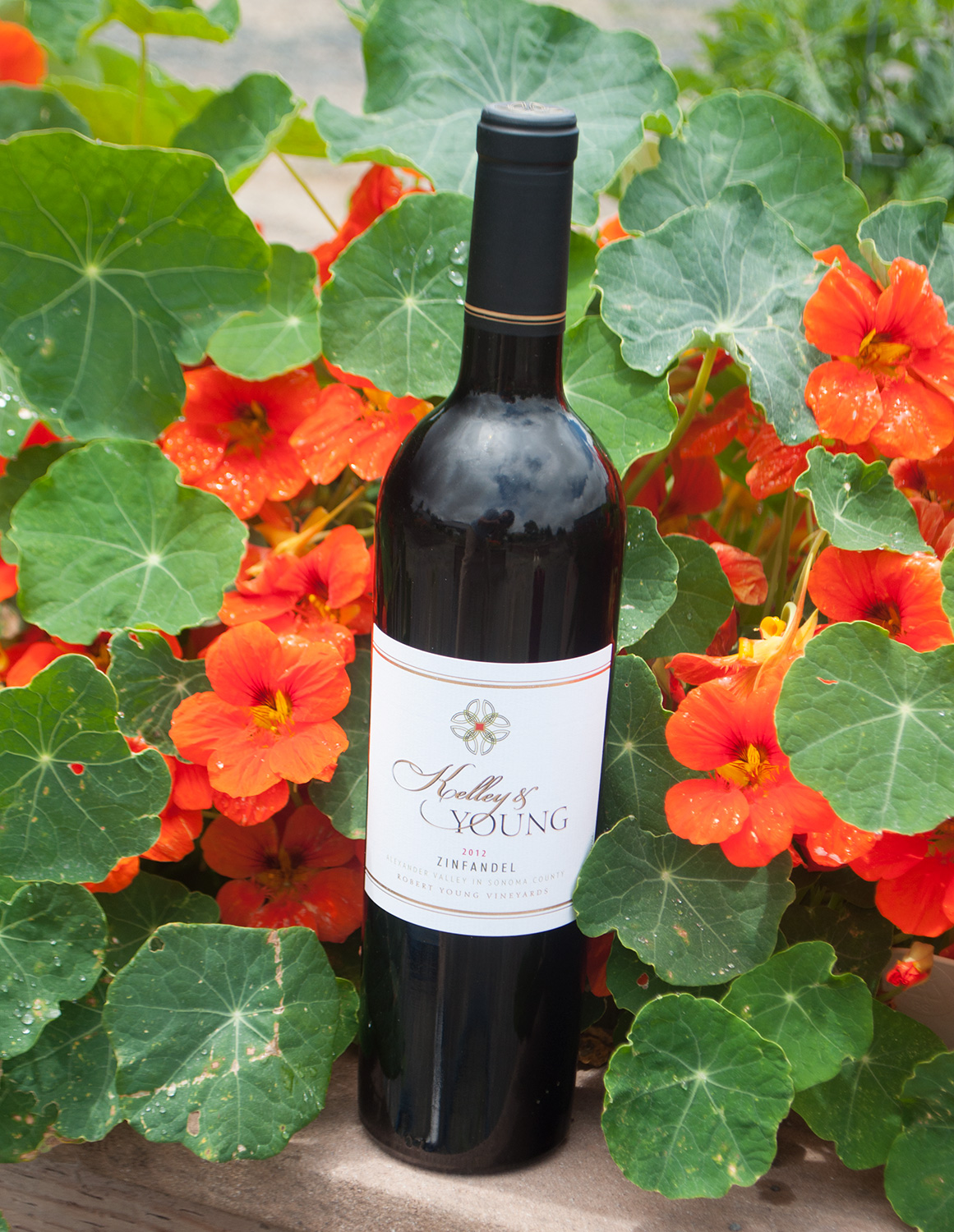 Kelley & Young Wines 2012 Zinfandel 750ml Wine Bottle