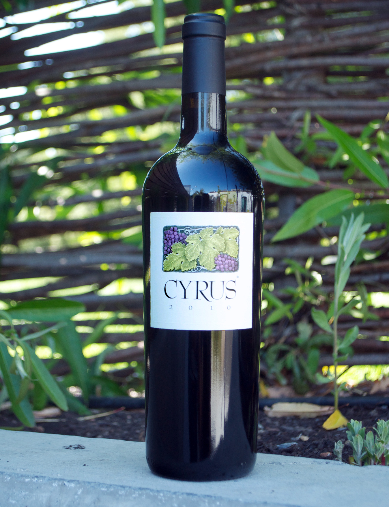 Alexander Valley Vineyards 2010 Cyrus Red Blend 750ml Wine Bottle