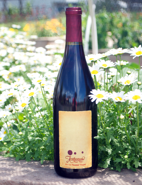 Furthermore 2011 La Encantada Vineyard Pinot Noir 750ml Wine Bottle