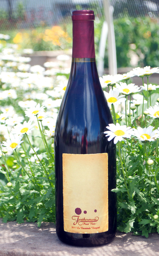 Furthermore 2011 La Encantada Vineyard Pinot Noir 750ml Wine Bottle