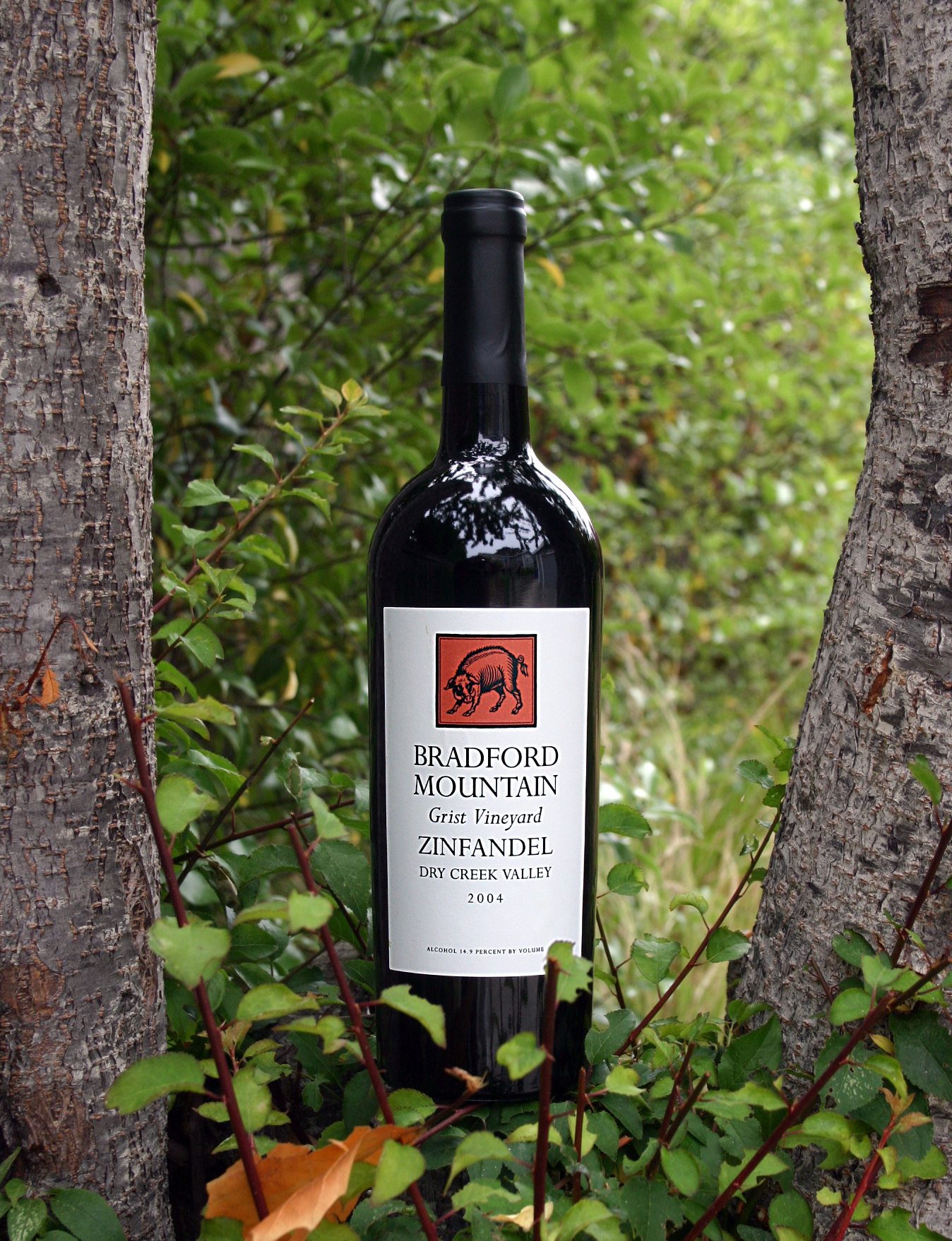 Bradford Mountain Winery 2004 Zinfandel 750ml Wine Bottle