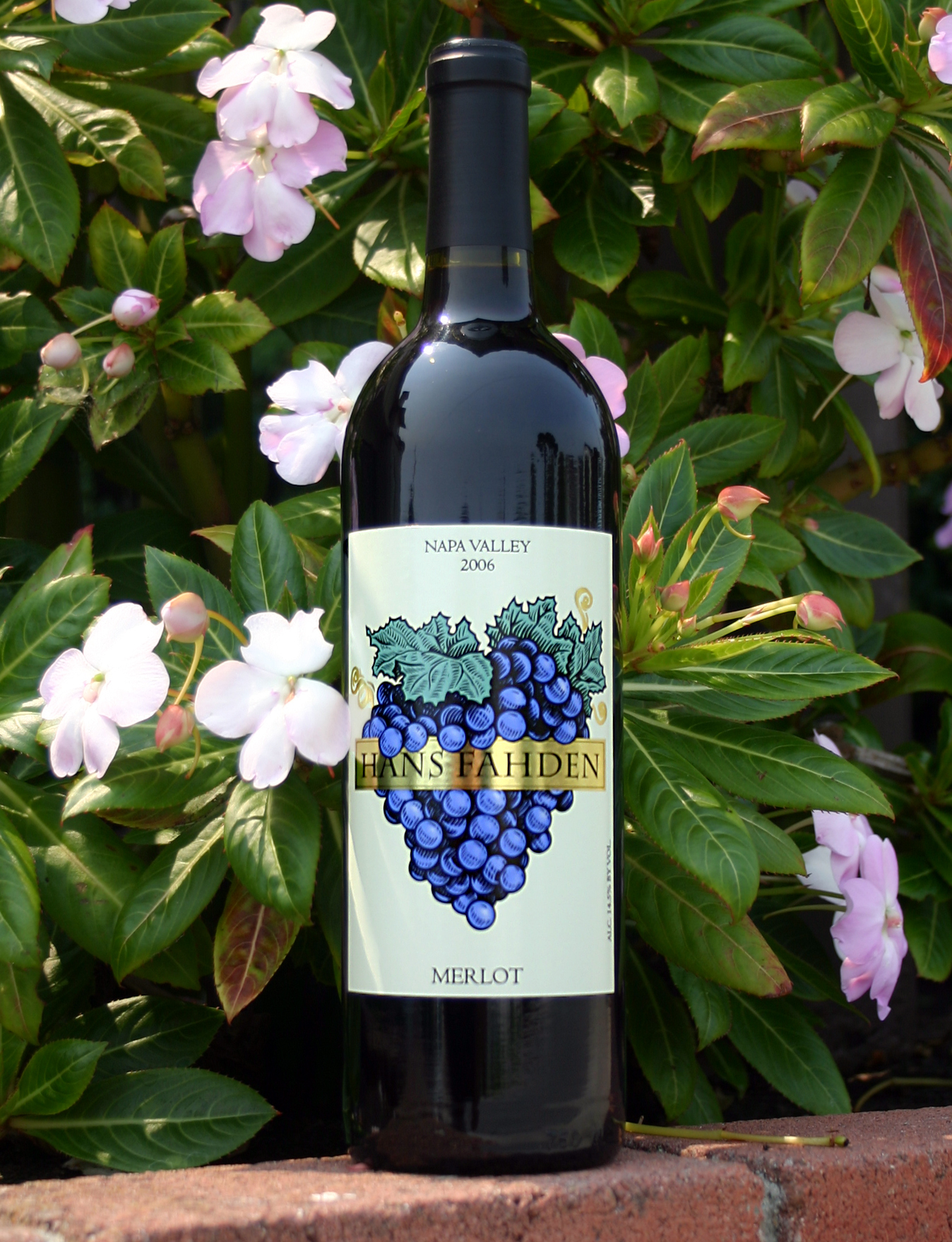 Hans Fahden 2006 Merlot Napa Valley 750ml Wine Bottle