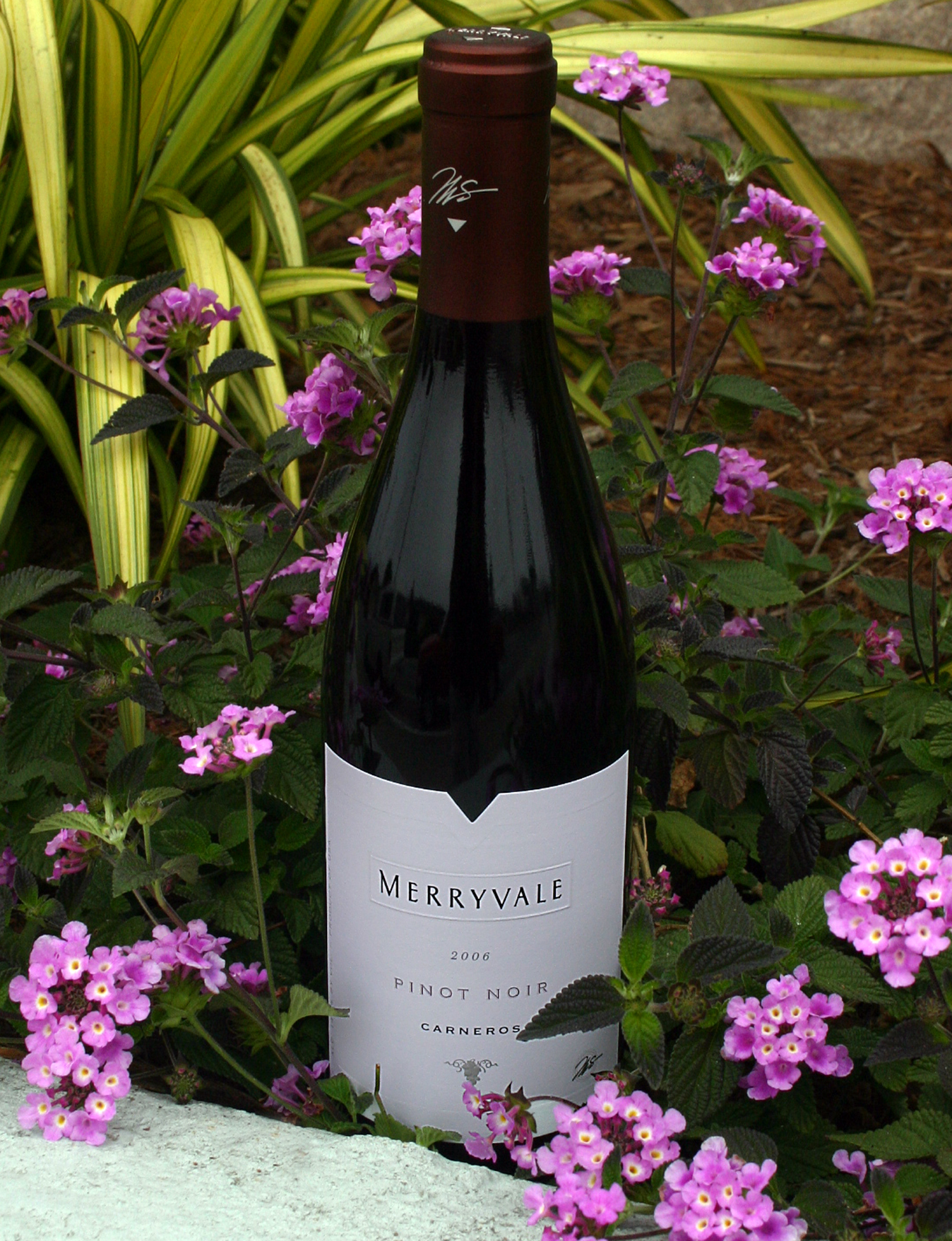 Merryvale Vineyards 2006 Pinot Noir, Carneros 750ml Wine Bottle