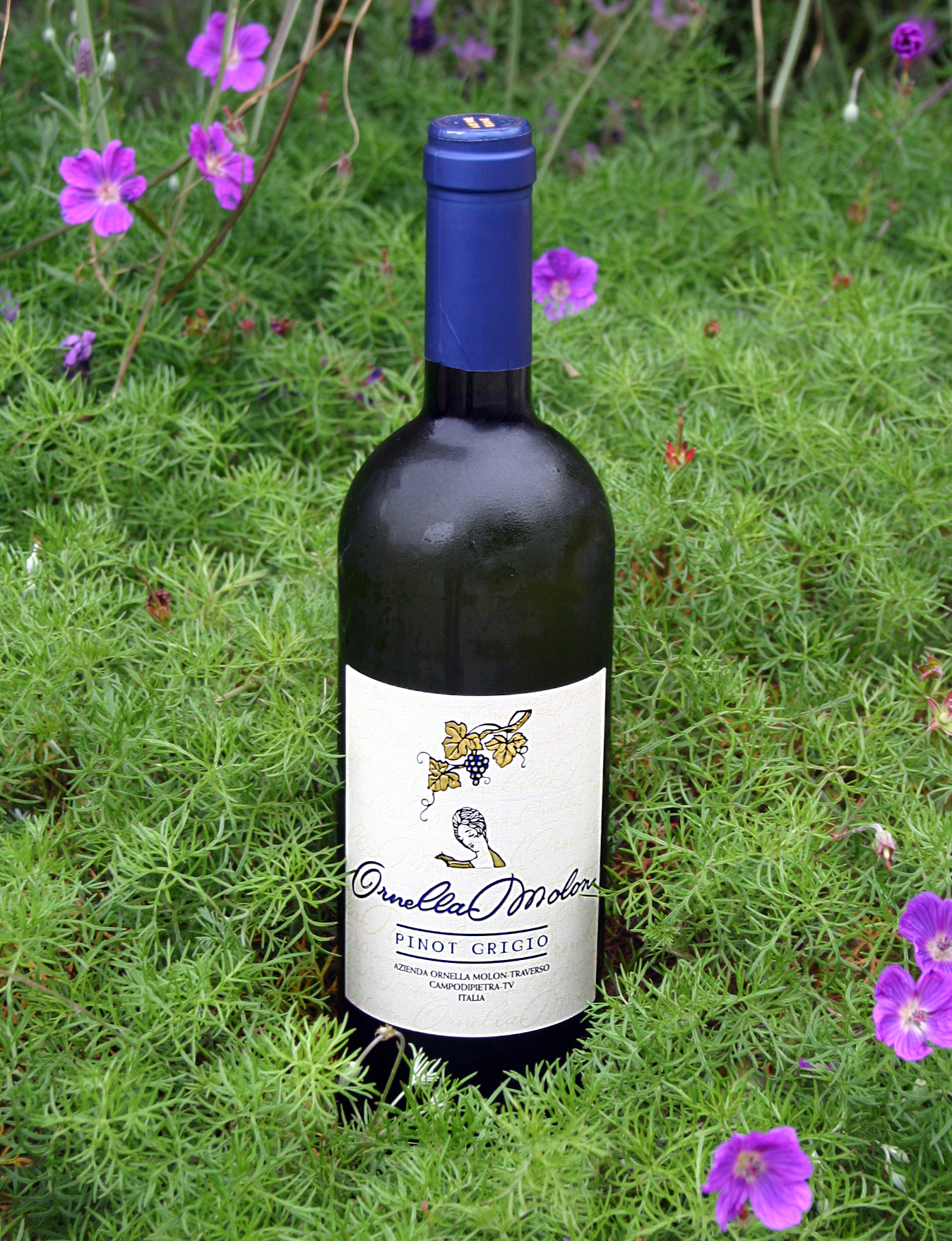 Ornella Molon Traverso 2006 Pinot Grigio, Colli Orientali del Fruili 750ml Wine Bottle