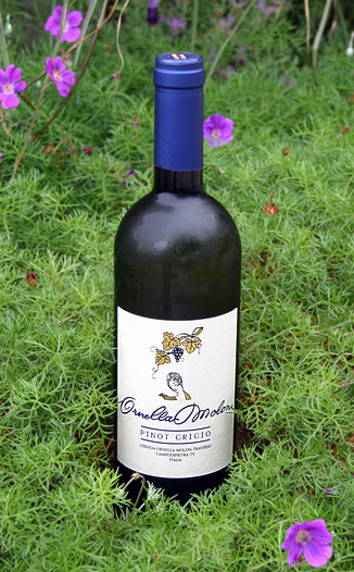 Ornella Molon Traverso 2006 Pinot Grigio, Colli Orientali del Fruili 750ml Wine Bottle