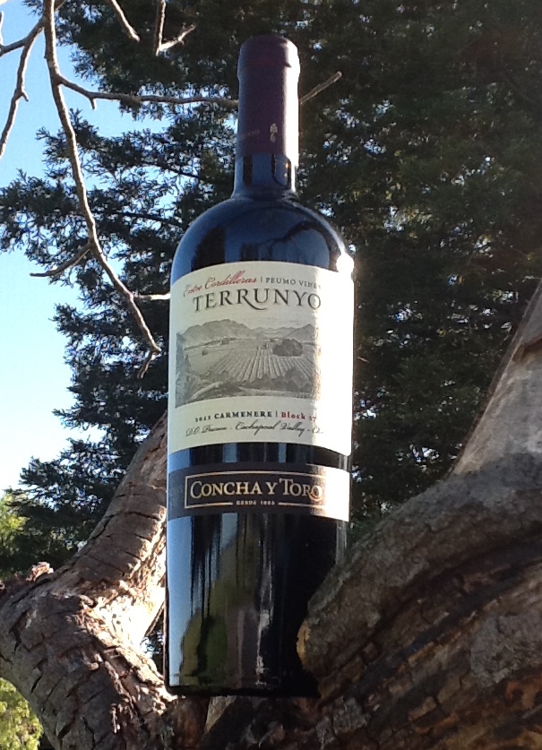 Concha y Toro 2011 Cachapoal Valley Terrunyo Peumo Carmenere 750ml Wine Bottle