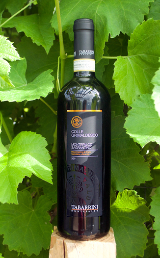 Tabarrini Montefalco 2011 Montefalco Sagrantino 750ml Wine Bottle