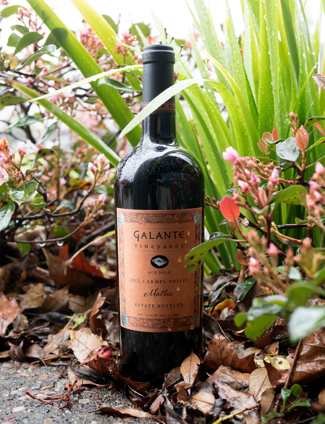 Galante Vineyards 2012 Ace High Carmel Valley Estate Bottled Malbec 750ml Wine Bottle