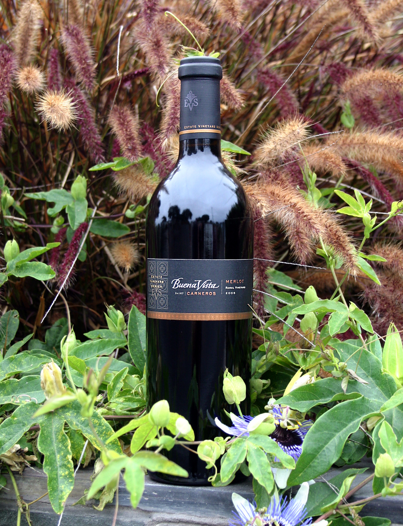 Buena Vista Carneros Winery 2005 Ramal Vineyard Merlot 750ml Wine Bottle