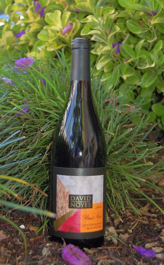 David Noyes Wines 2005 Russian River Valley Pinot Noir 750ml Wine Bottle