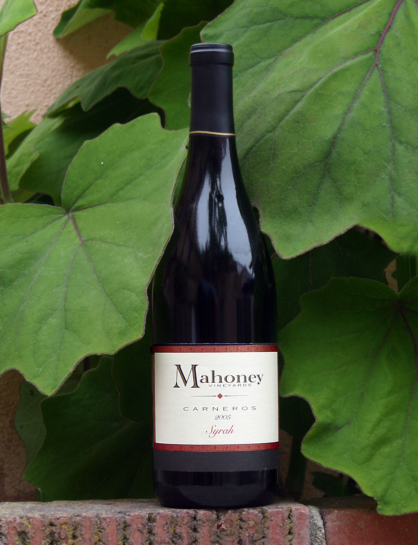 Mahoney Vineyards 2005 Carneros Syrah 750ml Wine Bottle