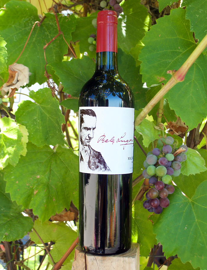 Lugosi Wines 2007 Salta Malbec 750ml Wine Bottle