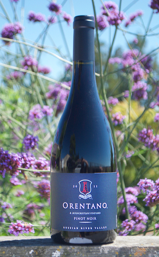 Orentano 2011 Russian River Valley Pinot Noir 750ml Wine Bottle