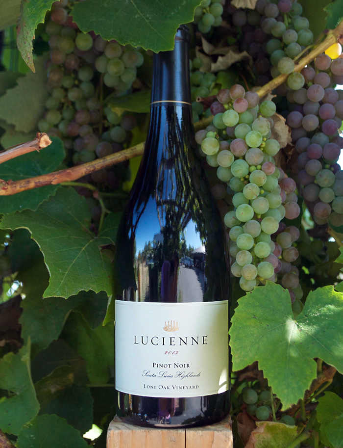 Hahn Family 2013 Lucienne Lone Oak Vineyard Pinot Noir 750ml Wine Bottle