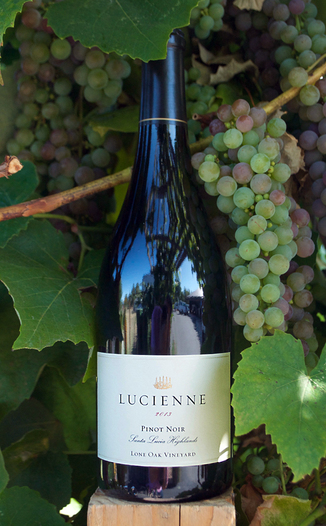 Hahn Family 2013 Lucienne Lone Oak Vineyard Pinot Noir 750ml Wine Bottle