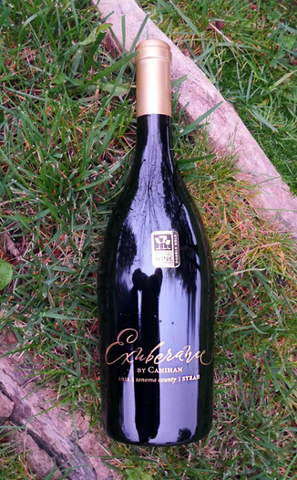 Canihan 2011 Exuberance Sonoma County Syrah 750ml Wine Bottle