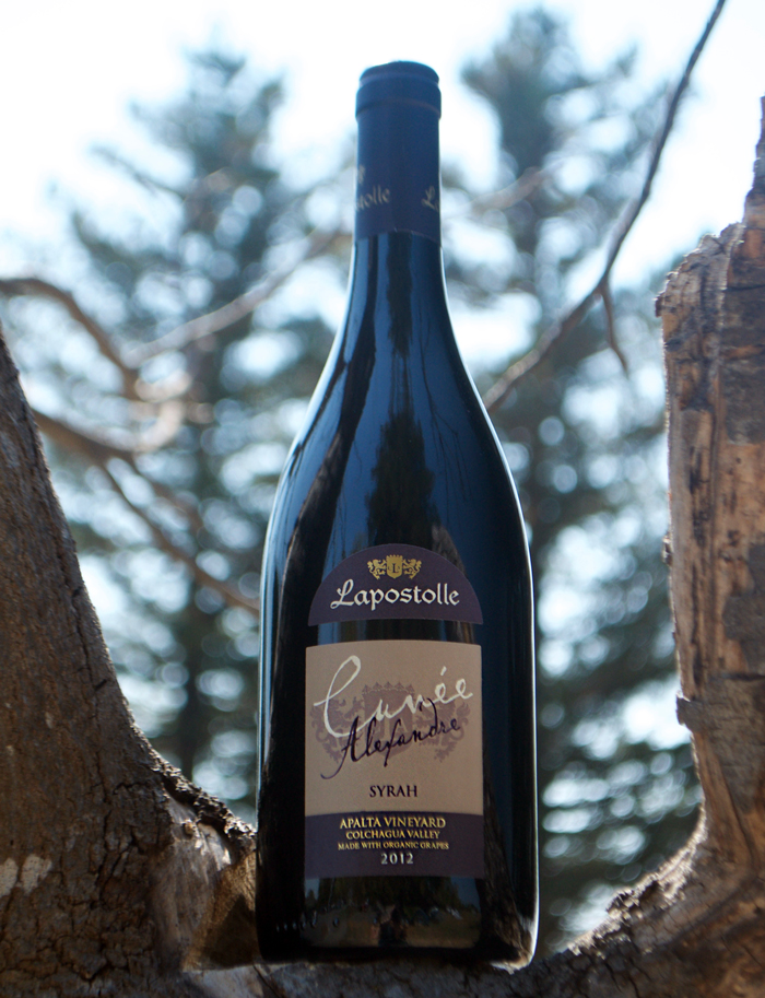 Lapostolle (OLD) 2012 Cuvee Alexandre Syrah 750ml Wine Bottle