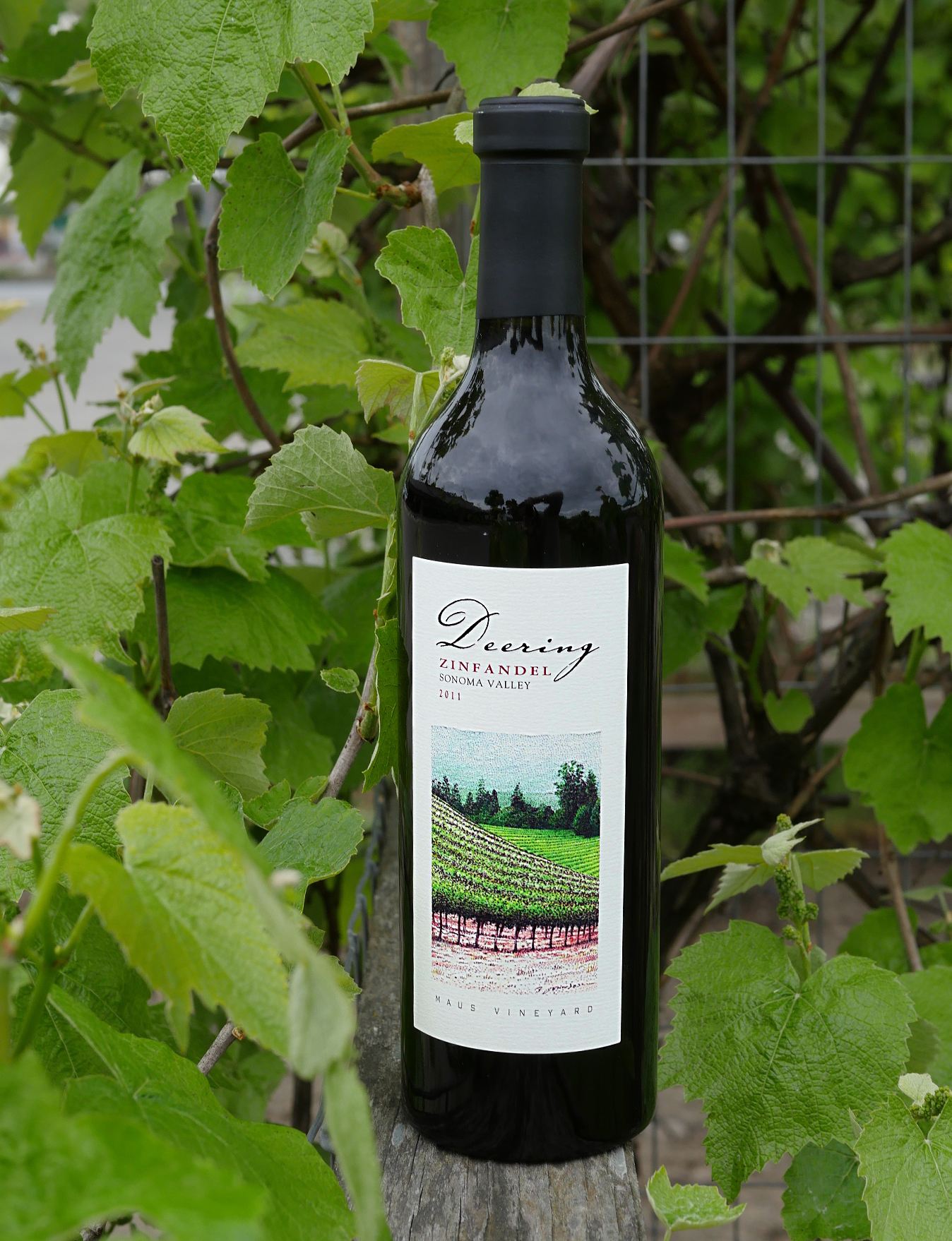 Deering Wine 2011 Maus Vineyard Sonoma Valley Zinfandel 750ml Wine Bottle