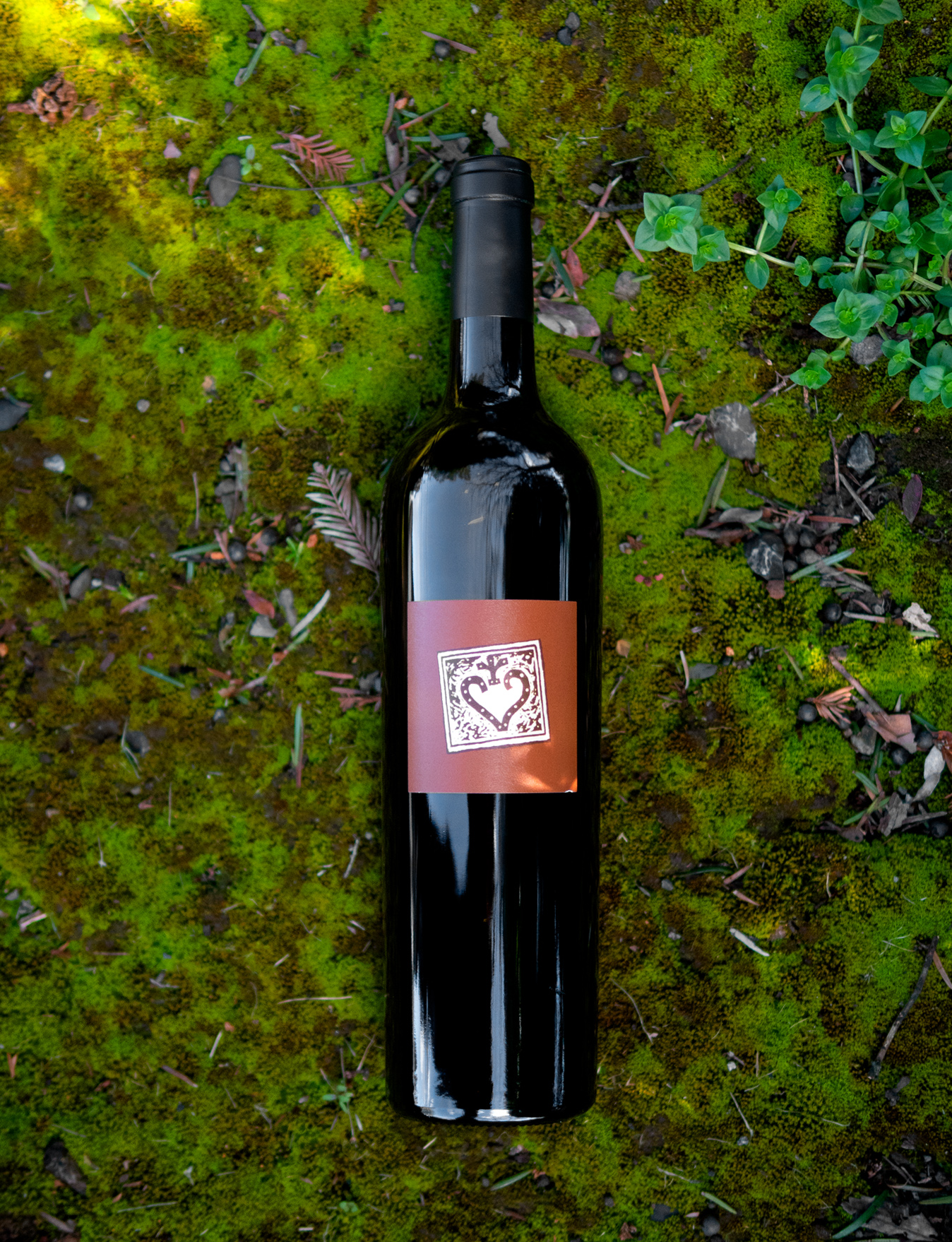 Random Ridge 2014 "Windfall" Cabernet Franc 750ml Wine Bottle