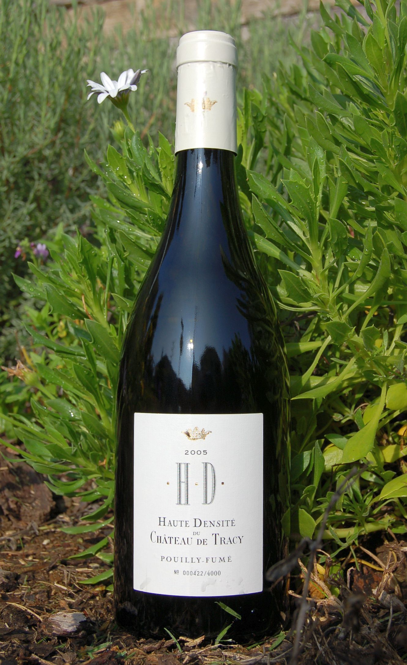 Chateau de Tracy 2005 Haute Densité Pouilly Fumé 750ml Wine Bottle