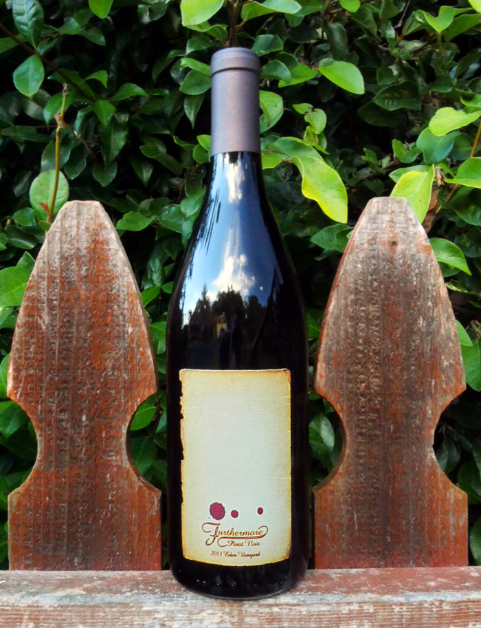 Furthermore 2013 Eden Vineyard Pinot Noir 750ml Wine Bottle