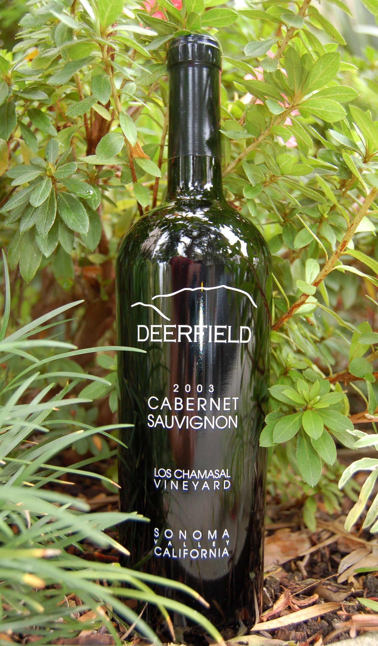 Deerfield Ranch 2003 Cabernet Sauvignon 750ml Wine Bottle
