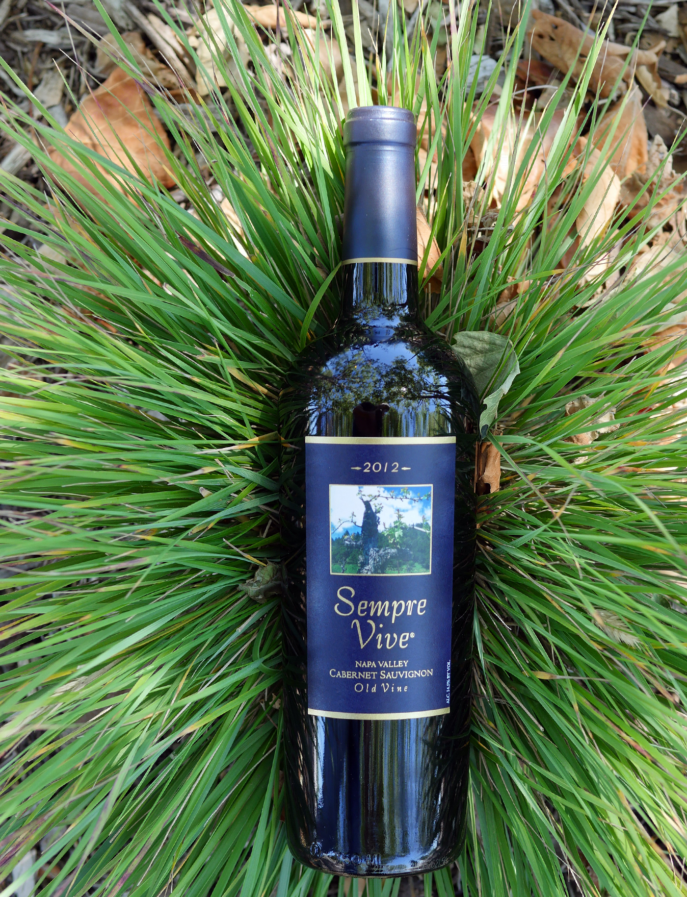 Romeo Vineyards 2012 Sempre Vive Napa Valley Old Vine Cabernet Sauvignon 750ml Wine Bottle