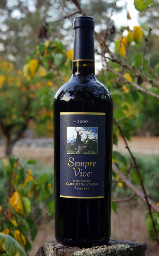 Romeo Vineyards 2006 Sempre Vive "Eugenia" Napa Valley Cabernet Sauvignon 750ml Wine Bottle