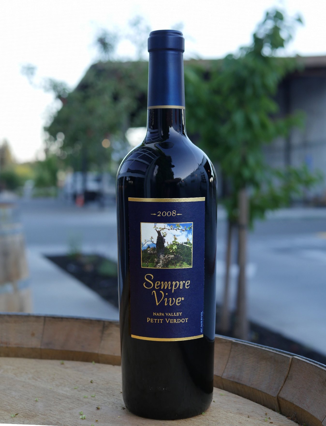 Romeo Vineyards 2008 Sempre Vive Napa Valley Petit Verdot 750ml Wine Bottle