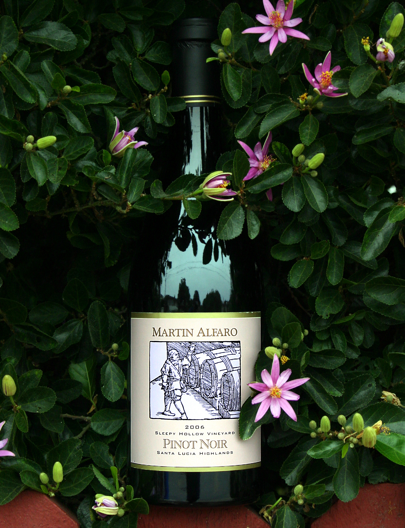 Martin Alfaro Wines 2006 Sleepy Hollow Pinot Noir 750ml Wine Bottle