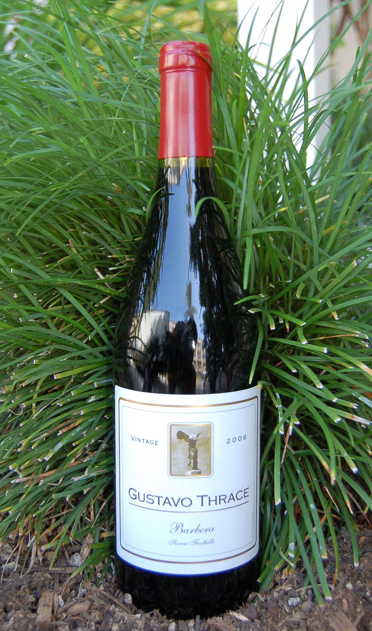 Gustavo Thrace 2006 Sierra Foothills Barbera 750ml Wine Bottle