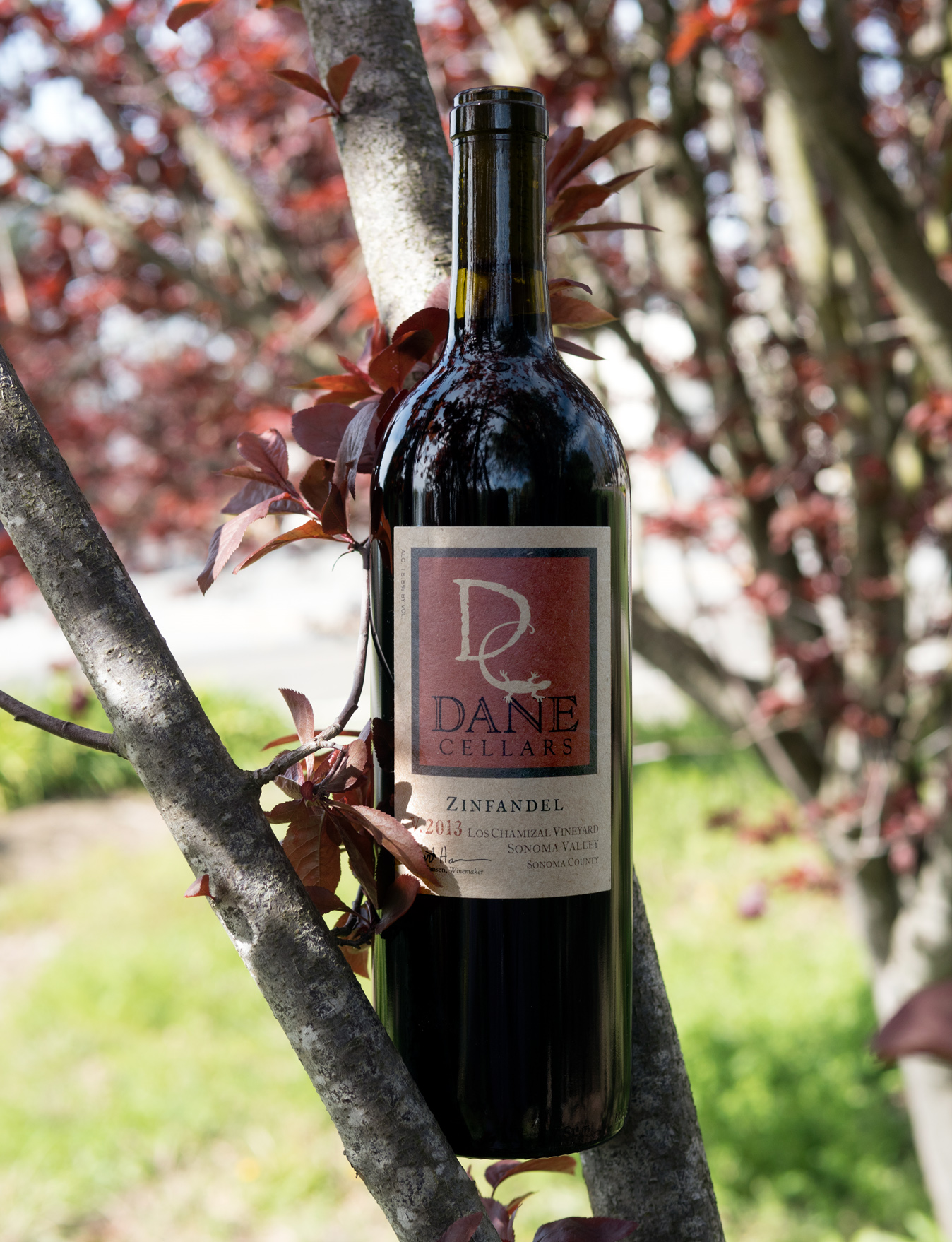Dane Cellars 2013 Los Chamizal Vineyards Sonoma Valley Zinfandel 750ml Wine Bottle