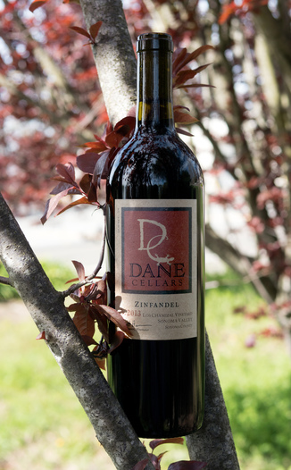 Dane Cellars 2013 Los Chamizal Vineyards Sonoma Valley Zinfandel 750ml Wine Bottle