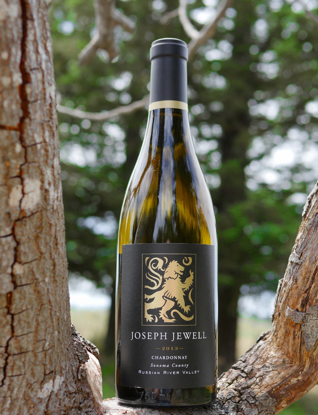 Joseph Jewell 2013 Russian River Valley Chardonnay 750ml Wine Bottle