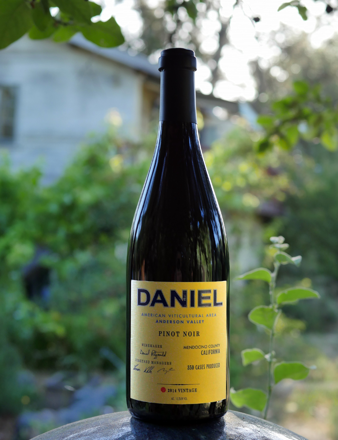 Daniel 2014 Anderson Valley Pinot Noir 750ml Wine Bottle
