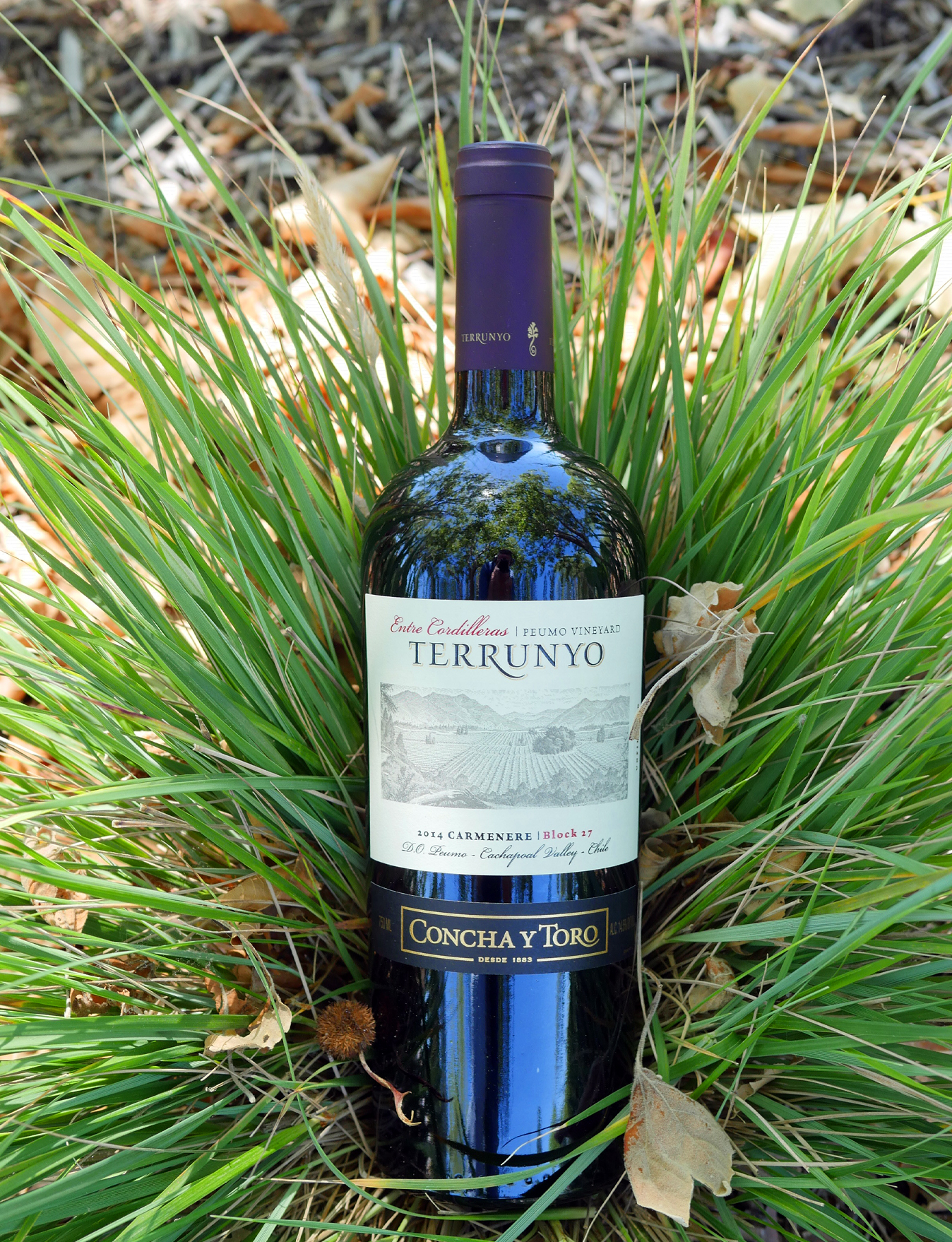 Concha y Toro 2014 Cachapoal Valley Terrunyo Peumo Carmenere 750ml Wine Bottle