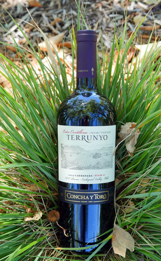 Concha y Toro 2014 Cachapoal Valley Terrunyo Peumo Carmenere 750ml Wine Bottle