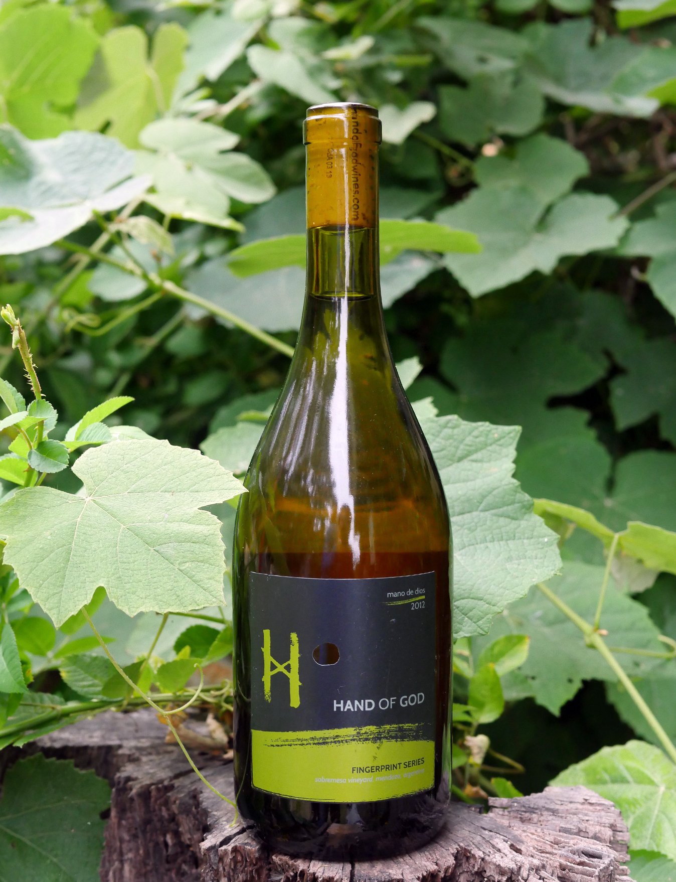 Hand of God 2012 Fingerprint Series Sobremesa Vineyard VRM White Wine 750ml Wine Bottle