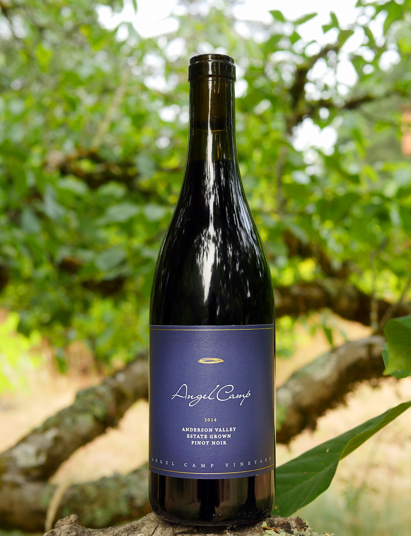 Angel Camp Vineyard 2014 Estate Grown Anderson Valley Pinot Noir 750ml Wine Bottle