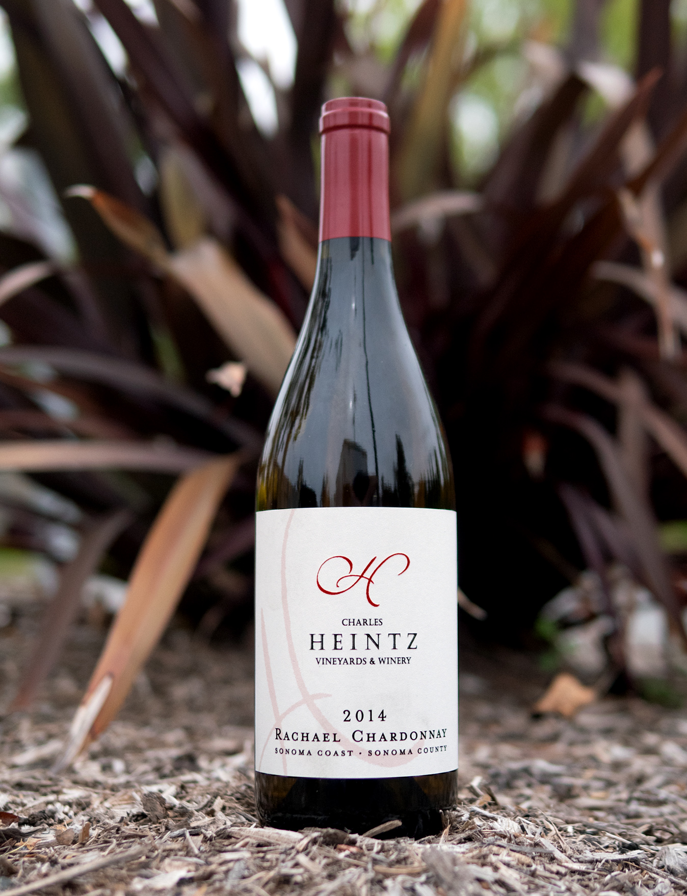 Charles Heintz Vineyards 2014 "Rachael" Sonoma Coast Chardonnay 750ml Wine Bottle