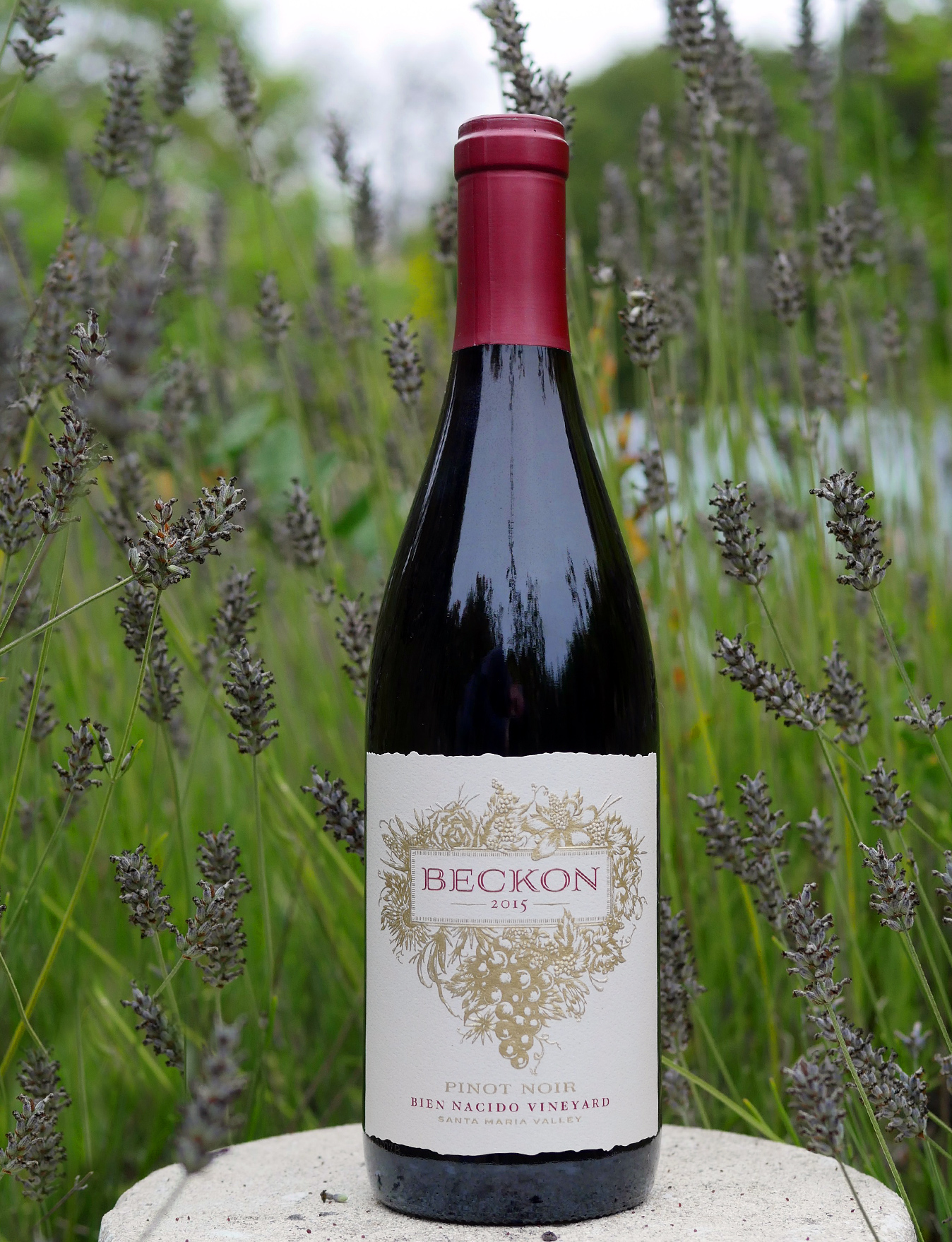Beckon 2015 Bien Nacido Vineyard Pinot Noir 750ml Wine Bottle