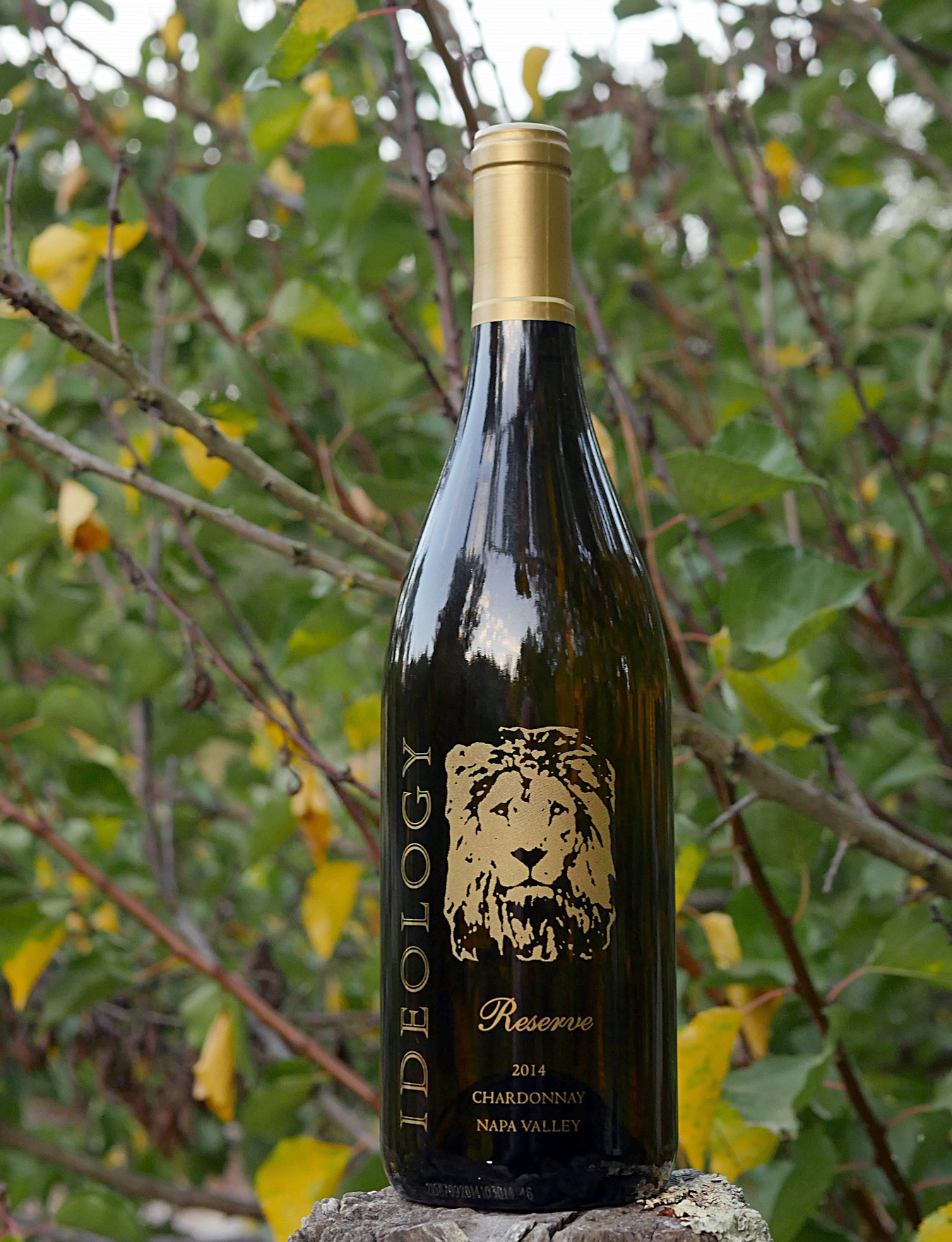 Ideology Cellars 2014 Ideology Reserve Chardonnay Napa Valley California 750ml Wine Bottle