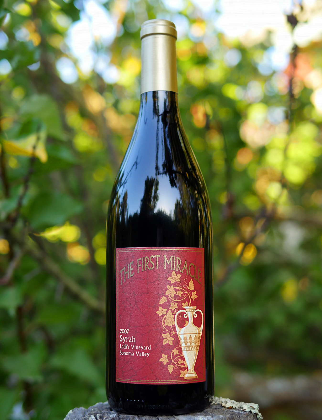 Samuel J. Anderson Cellars 2007 Ladi's Vineyard Sonoma Valley Syrah 750ml Wine Bottle