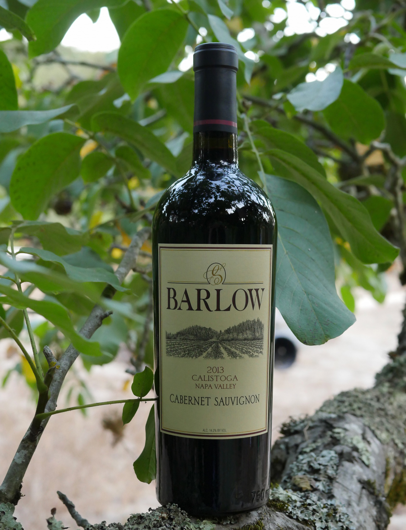 Barlow Vineyards 2013 Calistoga Napa Valley Cabernet Sauvignon 750ml Wine Bottle