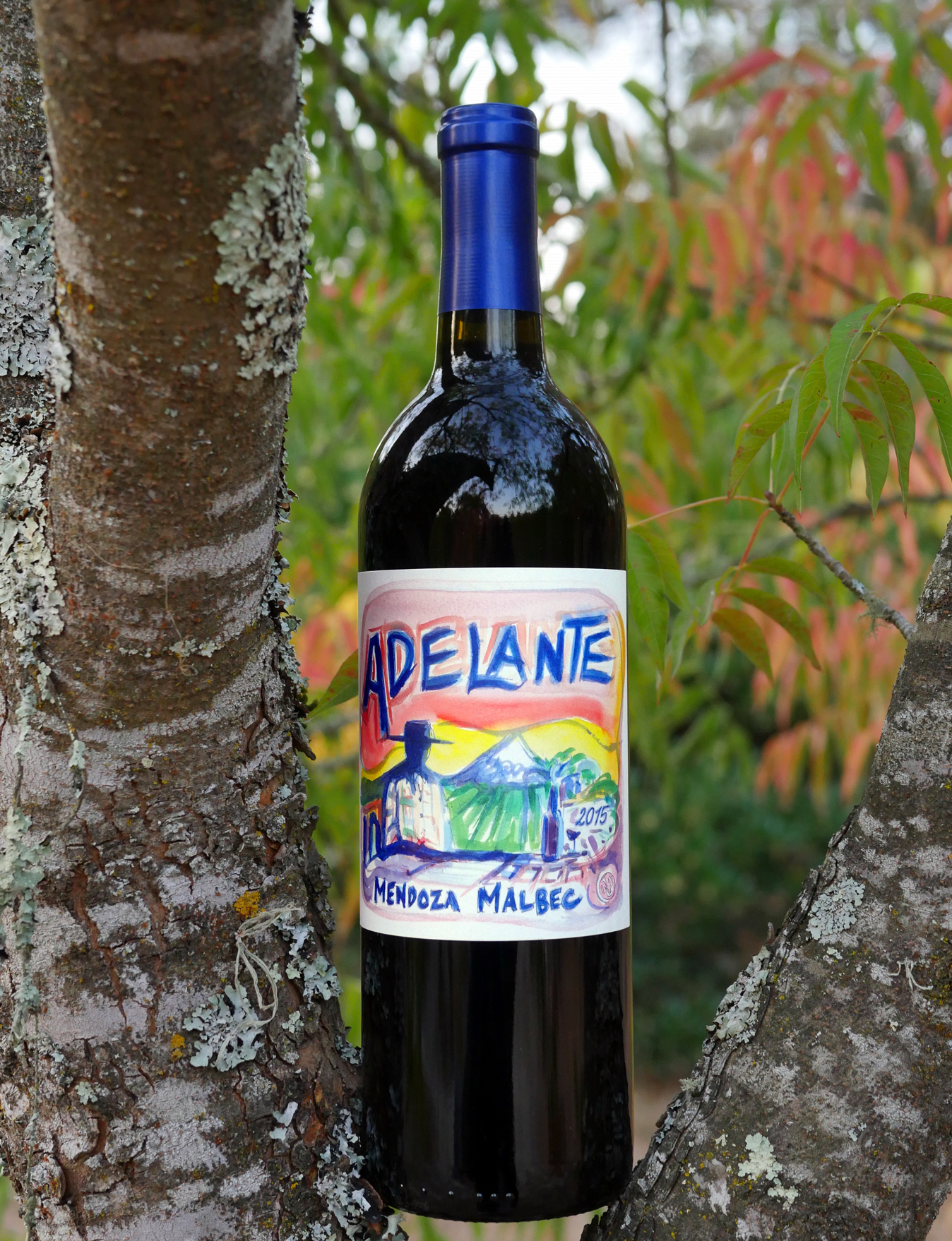Adelante 2015 Mendoza Malbec 750ml Wine Bottle