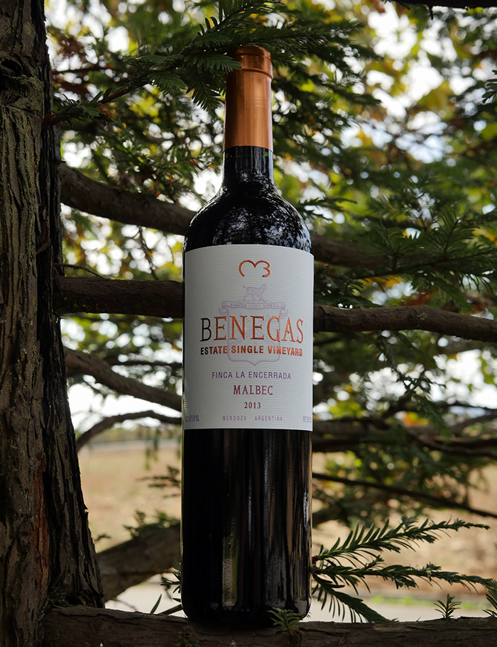 Benegas Lynch 2013 Estate Single Vineyard Finca La Encerrada Mendoza Malbec 750ml Wine Bottle